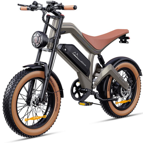 Zonveer M20 Electric Bike